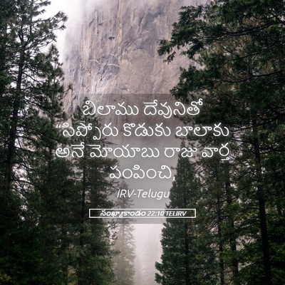 Picture 05 - సంఖ్యాకాండం 22:10 TELIRV - బిలాము దేవునితో - Bible Verse Picture