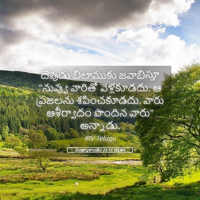 Picture 05 - సంఖ్యాకాండం 22:12 TELIRV - దేవుడు బిలాముకు - Bible Verse Picture