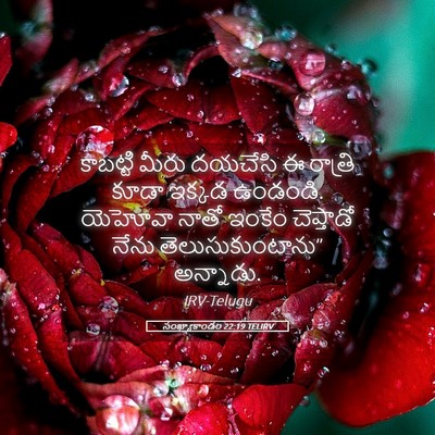 Picture 05 - సంఖ్యాకాండం 22:19 TELIRV - కాబట్టి మీరు - Bible Verse Picture