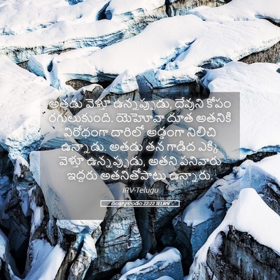 Picture 05 - సంఖ్యాకాండం 22:22 TELIRV - అతడు వెళ్తూ - Bible Verse Picture