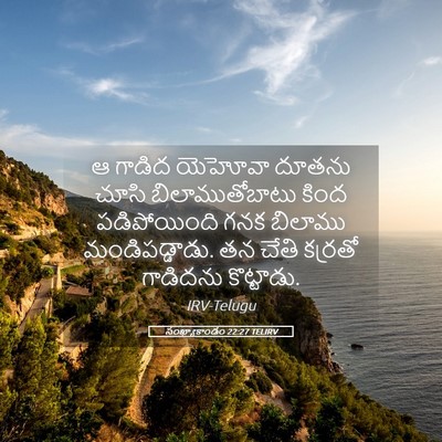 Picture 05 - సంఖ్యాకాండం 22:27 TELIRV - ఆ గాడిద యెహోవా - Bible Verse Picture