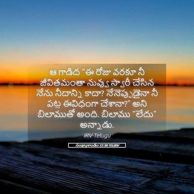 Picture 05 - సంఖ్యాకాండం 22:30 TELIRV - ఆ గాడిద “ఈ రోజు - Bible Verse Picture