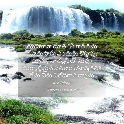 Picture 05 - సంఖ్యాకాండం 22:32 TELIRV - యెహోవా దూత “నీ - Bible Verse Picture
