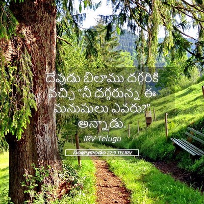 Picture 05 - సంఖ్యాకాండం 22:9 TELIRV - దేవుడు బిలాము - Bible Verse Picture
