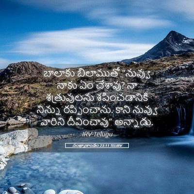 Picture 05 - సంఖ్యాకాండం 23:11 TELIRV - బాలాకు బిలాముతో - Bible Verse Picture
