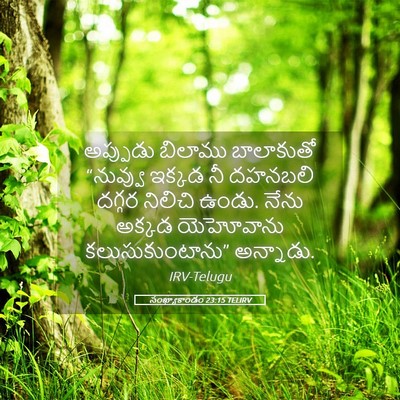Picture 05 - సంఖ్యాకాండం 23:15 TELIRV - అప్పుడు బిలాము - Bible Verse Picture