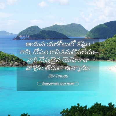 Picture 05 - సంఖ్యాకాండం 23:21 TELIRV - ఆయన యాకోబులో - Bible Verse Picture