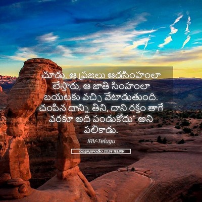 Picture 05 - సంఖ్యాకాండం 23:24 TELIRV - చూడు, ఆ ప్రజలు - Bible Verse Picture