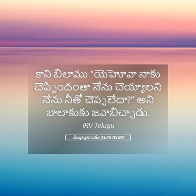 Picture 05 - సంఖ్యాకాండం 23:26 TELIRV - కాని బిలాము - Bible Verse Picture