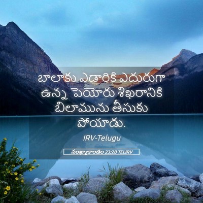 Picture 05 - సంఖ్యాకాండం 23:28 TELIRV - బాలాకు ఎడారికి - Bible Verse Picture