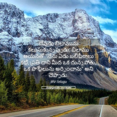 Picture 05 - సంఖ్యాకాండం 23:4 TELIRV - దేవుడు బిలామును - Bible Verse Picture