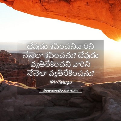 Picture 05 - సంఖ్యాకాండం 23:8 TELIRV - దేవుడు - Bible Verse Picture