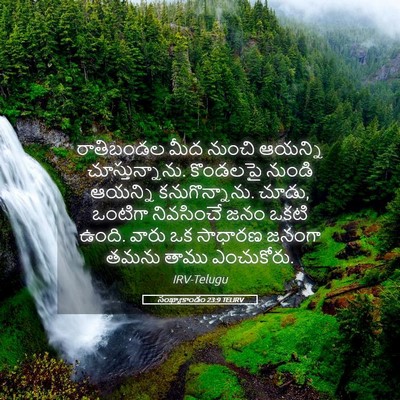 Picture 05 - సంఖ్యాకాండం 23:9 TELIRV - రాతిబండల మీద - Bible Verse Picture