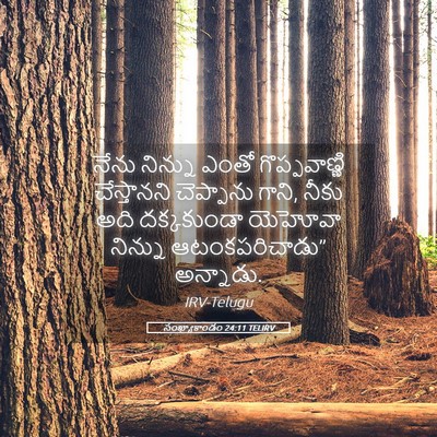 Picture 05 - సంఖ్యాకాండం 24:11 TELIRV - నేను నిన్ను ఎంతో - Bible Verse Picture