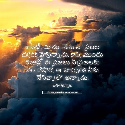 Picture 05 - సంఖ్యాకాండం 24:14 TELIRV - కాబట్టి, చూడు, నేను - Bible Verse Picture