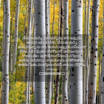 Picture 05 - సంఖ్యాకాండం 24:17 TELIRV - నేను ఆయన్ని - Bible Verse Picture