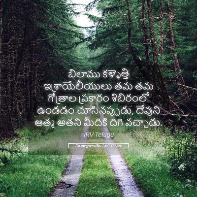Picture 05 - సంఖ్యాకాండం 24:2 TELIRV - బిలాము కళ్ళెత్తి - Bible Verse Picture