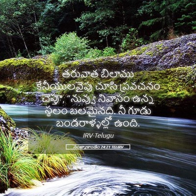 Picture 05 - సంఖ్యాకాండం 24:21 TELIRV - తరువాత బిలాము - Bible Verse Picture