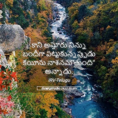 Picture 05 - సంఖ్యాకాండం 24:22 TELIRV - కాని అష్షూరు - Bible Verse Picture