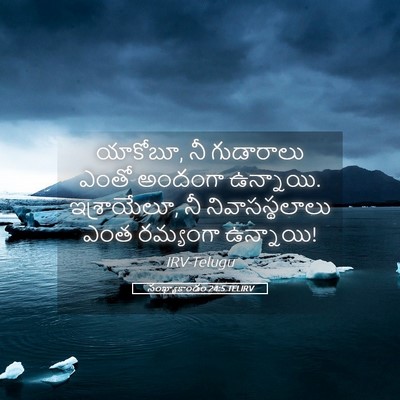 Picture 05 - సంఖ్యాకాండం 24:5 TELIRV - యాకోబూ, నీ - Bible Verse Picture