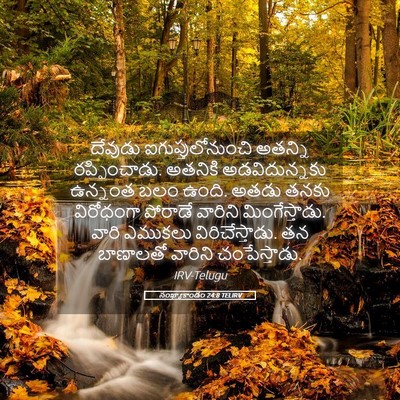 Picture 05 - సంఖ్యాకాండం 24:8 TELIRV - దేవుడు - Bible Verse Picture