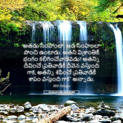 Picture 05 - సంఖ్యాకాండం 24:9 TELIRV - అతడు సింహంలా, ఆడ - Bible Verse Picture