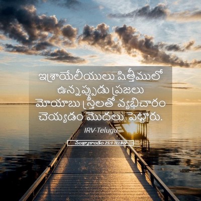 Picture 05 - సంఖ్యాకాండం 25:1 TELIRV - ఇశ్రాయేలీయులు - Bible Verse Picture