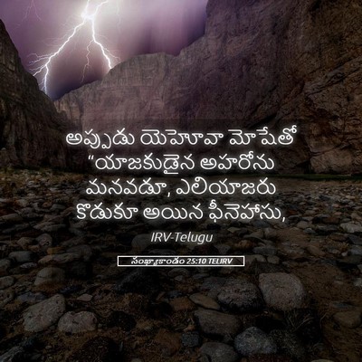 Picture 05 - సంఖ్యాకాండం 25:10 TELIRV - అప్పుడు యెహోవా - Bible Verse Picture