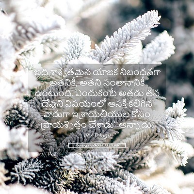 Picture 05 - సంఖ్యాకాండం 25:13 TELIRV - అది శాశ్వతమైన - Bible Verse Picture