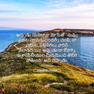 Picture 05 - సంఖ్యాకాండం 25:4 TELIRV - అప్పుడు యెహోవా - Bible Verse Picture