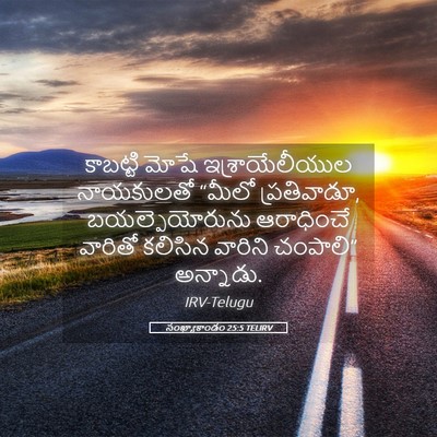 Picture 05 - సంఖ్యాకాండం 25:5 TELIRV - కాబట్టి మోషే - Bible Verse Picture