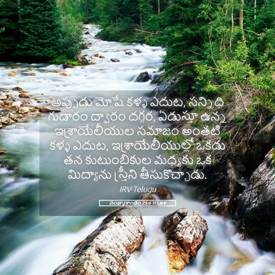 Picture 05 - సంఖ్యాకాండం 25:6 TELIRV - అప్పుడు మోషే కళ్ళ - Bible Verse Picture