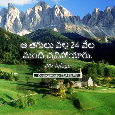 Picture 05 - సంఖ్యాకాండం 25:9 TELIRV - ఆ తెగులు వల్ల 24 వేల - Bible Verse Picture