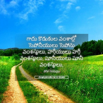 Picture 05 - సంఖ్యాకాండం 26:15 TELIRV - గాదు కొడుకుల - Bible Verse Picture