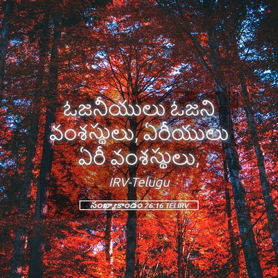 Picture 05 - సంఖ్యాకాండం 26:16 TELIRV - ఓజనీయులు ఓజని - Bible Verse Picture