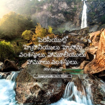 Picture 05 - సంఖ్యాకాండం 26:21 TELIRV - పెరెసీయుల్లో - Bible Verse Picture