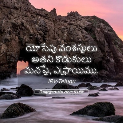 Picture 05 - సంఖ్యాకాండం 26:28 TELIRV - యోసేపు వంశస్థులు - Bible Verse Picture