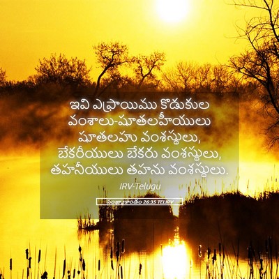 Picture 05 - సంఖ్యాకాండం 26:35 TELIRV - ఇవి ఎఫ్రాయిము - Bible Verse Picture
