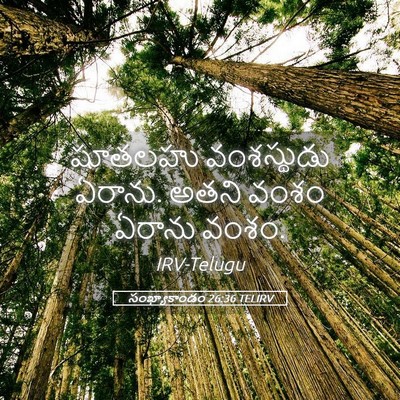 Picture 05 - సంఖ్యాకాండం 26:36 TELIRV - షూతలహు వంశస్థుడు - Bible Verse Picture