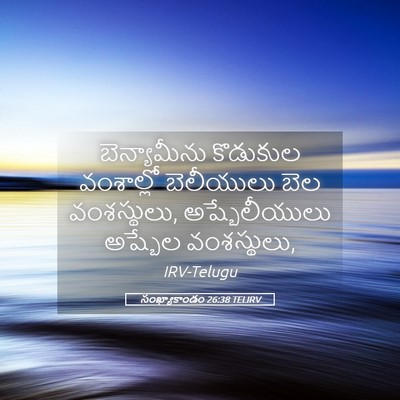 Picture 05 - సంఖ్యాకాండం 26:38 TELIRV - బెన్యామీను - Bible Verse Picture