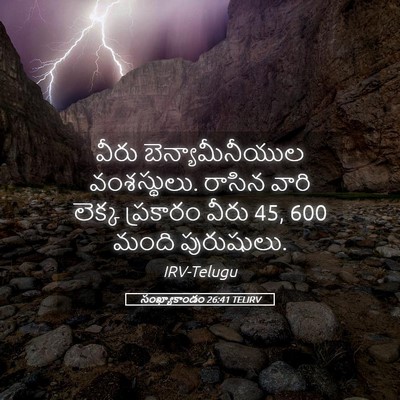 Picture 05 - సంఖ్యాకాండం 26:41 TELIRV - వీరు - Bible Verse Picture