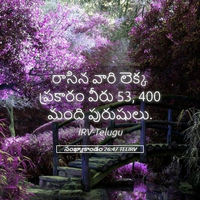 Picture 05 - సంఖ్యాకాండం 26:47 TELIRV - రాసిన వారి లెక్క - Bible Verse Picture