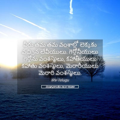 Picture 05 - సంఖ్యాకాండం 26:57 TELIRV - వీరు తమ తమ - Bible Verse Picture