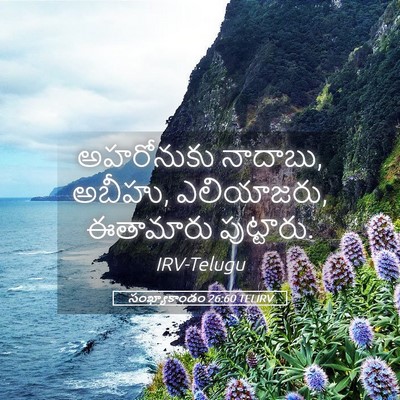 Picture 05 - సంఖ్యాకాండం 26:60 TELIRV - అహరోనుకు నాదాబు, - Bible Verse Picture