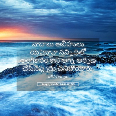 Picture 05 - సంఖ్యాకాండం 26:61 TELIRV - నాదాబు అబీహులు - Bible Verse Picture
