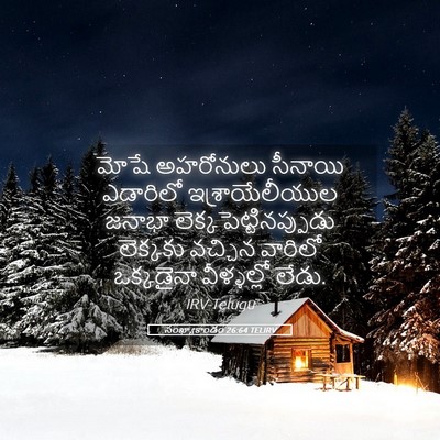 Picture 05 - సంఖ్యాకాండం 26:64 TELIRV - మోషే అహరోనులు - Bible Verse Picture