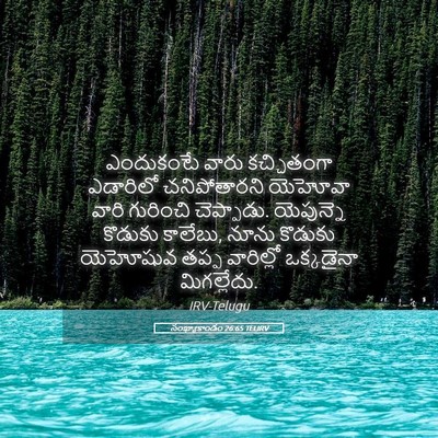 Picture 05 - సంఖ్యాకాండం 26:65 TELIRV - ఎందుకంటే వారు - Bible Verse Picture