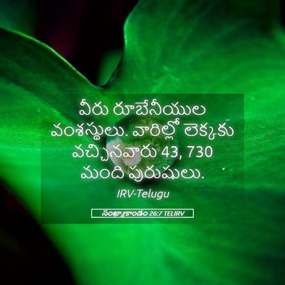 Picture 05 - సంఖ్యాకాండం 26:7 TELIRV - వీరు రూబేనీయుల - Bible Verse Picture