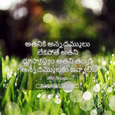 Picture 05 - సంఖ్యాకాండం 27:10 TELIRV - అతనికి - Bible Verse Picture