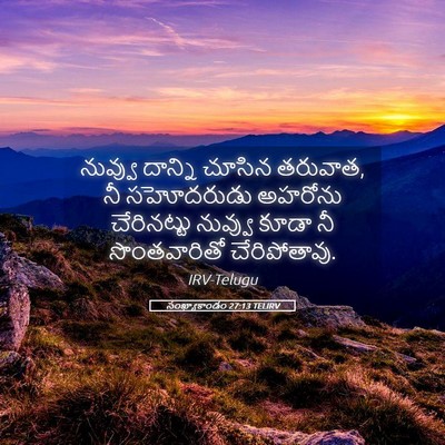 Picture 05 - సంఖ్యాకాండం 27:13 TELIRV - నువ్వు దాన్ని - Bible Verse Picture